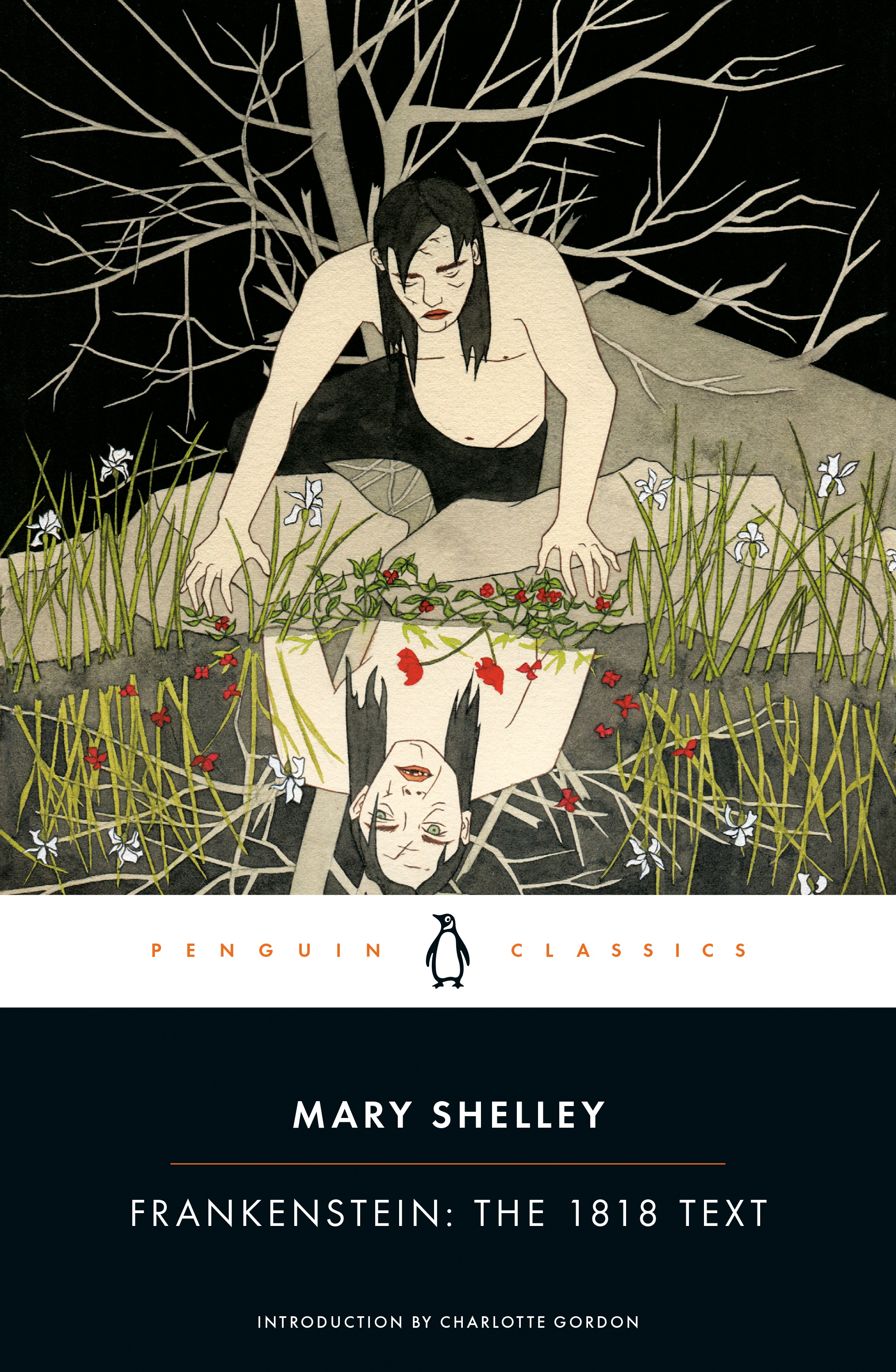 Frankenstein book cover